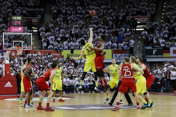 毛球发展的 毛球发展的