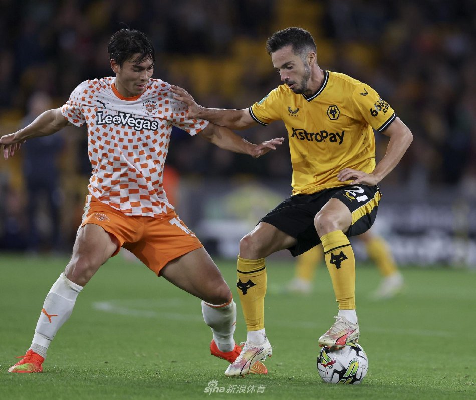 以其强劲的 以其强劲的